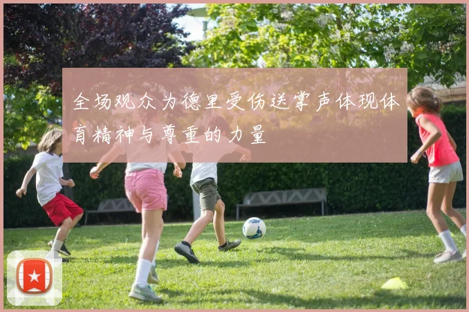 全场观众为德里受伤送掌声体现体育精神与尊重的力量