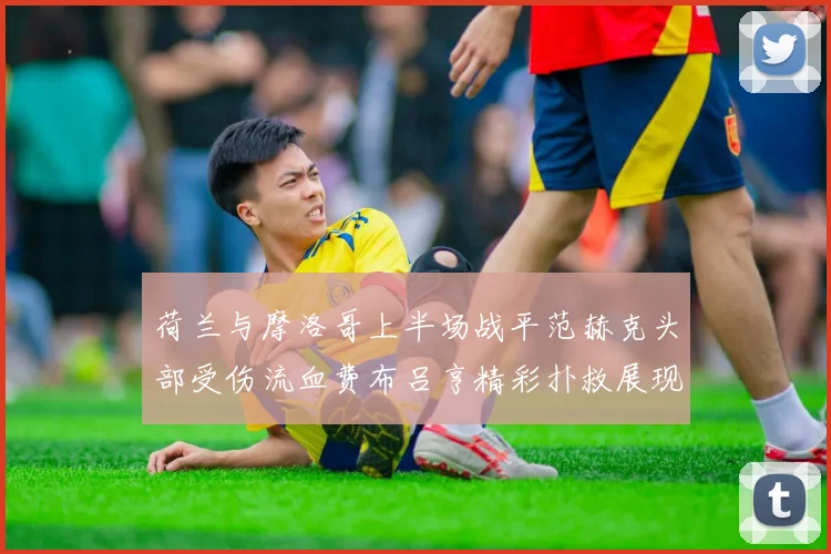 荷兰与摩洛哥上半场战平范赫克头部受伤流血费布吕亨精彩扑救展现实力